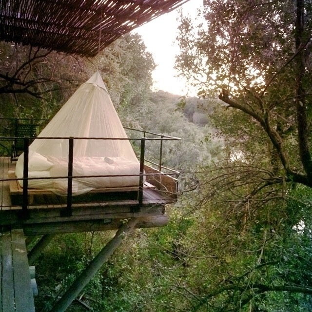 WILD THING #bed #forest #places #wild