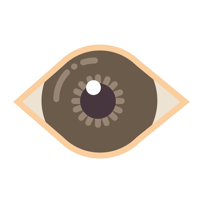 See more icon inspiration related to eye, vision, random, eyes, iris, body parts, medical, ophthalmology and spiral on Flaticon.