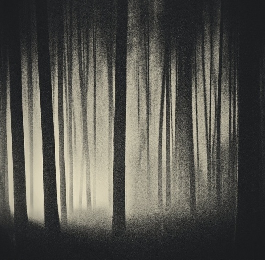 50,000 Miles Beneath My Brain by ~JonhyBlaze on deviantART #forest #photography #tree #nature