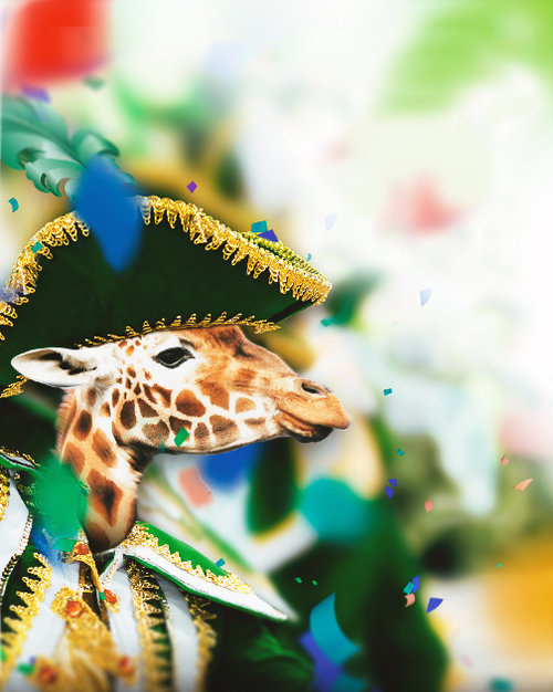 #giraffe #carnaval
