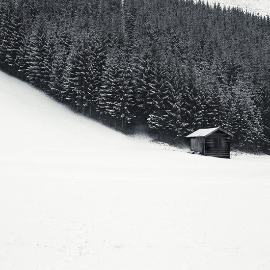 White #hut #snow #photography #minimal #forest #trees