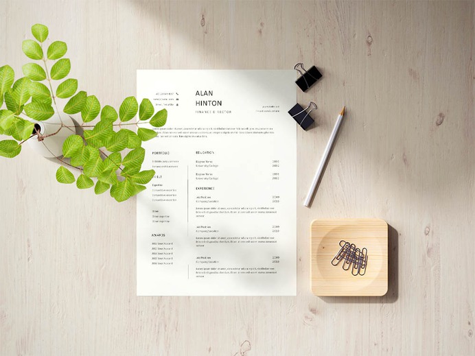 Free Finance Director Resume Template with Example