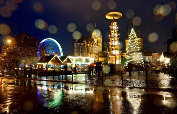 14 Christmas tree in Erfurt Germany #christmas #trees #art #tree