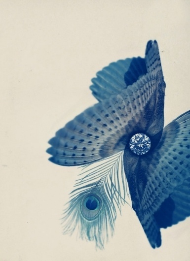 Sebastian Assaf #illustration #design #collage