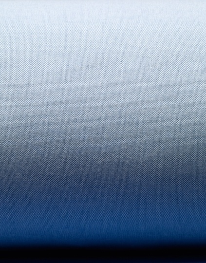 Scheltens Abbenes #abbenes #scheltens #study #man #blue #fantastic