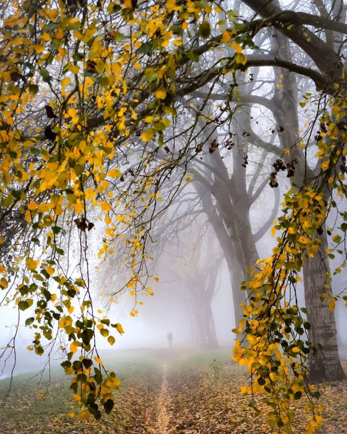 Beautiful and Extraordinary Outdoor Photography by Karen Heslinga