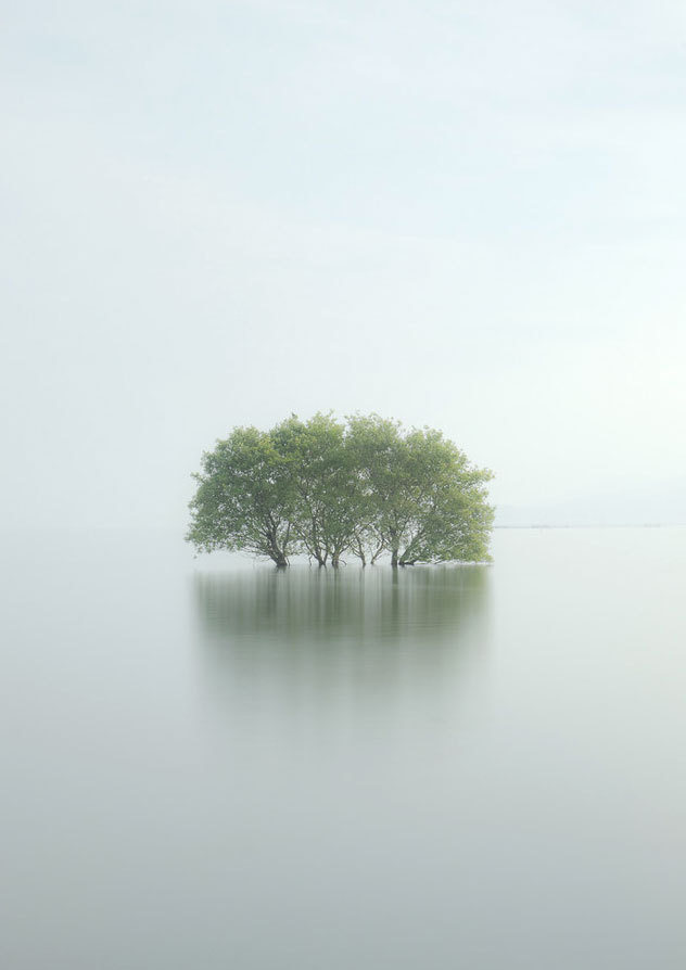 { i n s p i r a r e } #ocean #water #landscape #calm #photography #flood #trees