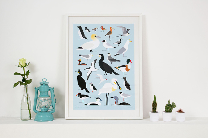 birds