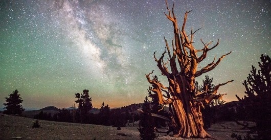 Amazing Photos from BBC Astronomy Photographer of the Year #milky #sky #way #northern #lights #astronomy #longtime #exposure #night #photography #stars #lake