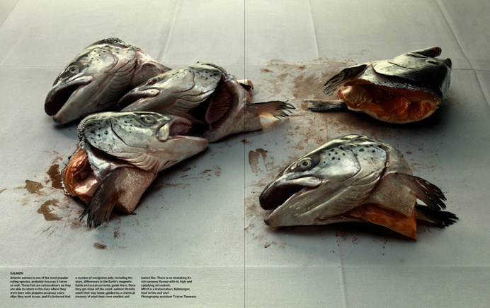 Layout, spreads, magazines