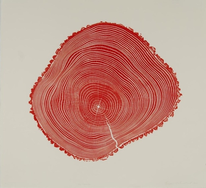 Red Fraxinus