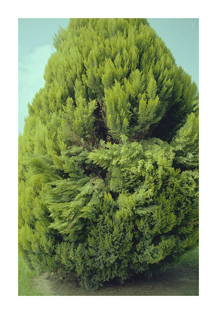 Daily Design Inspiration